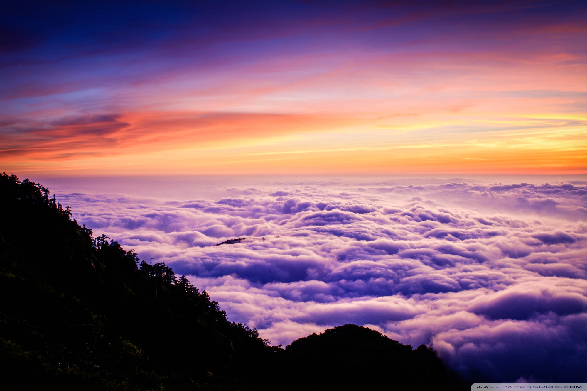 Above The Clouds Ultra HD Desktop Background Wallpaper for 4K UHD TV ...