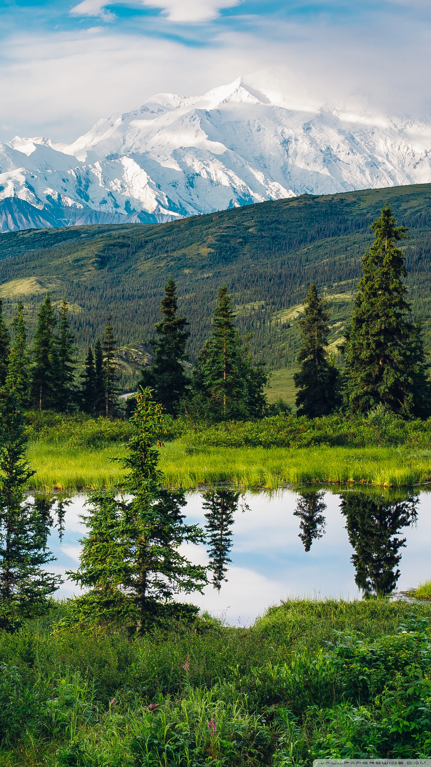 Alaska Phone Wallpapers  Top Free Alaska Phone Backgrounds   WallpaperAccess