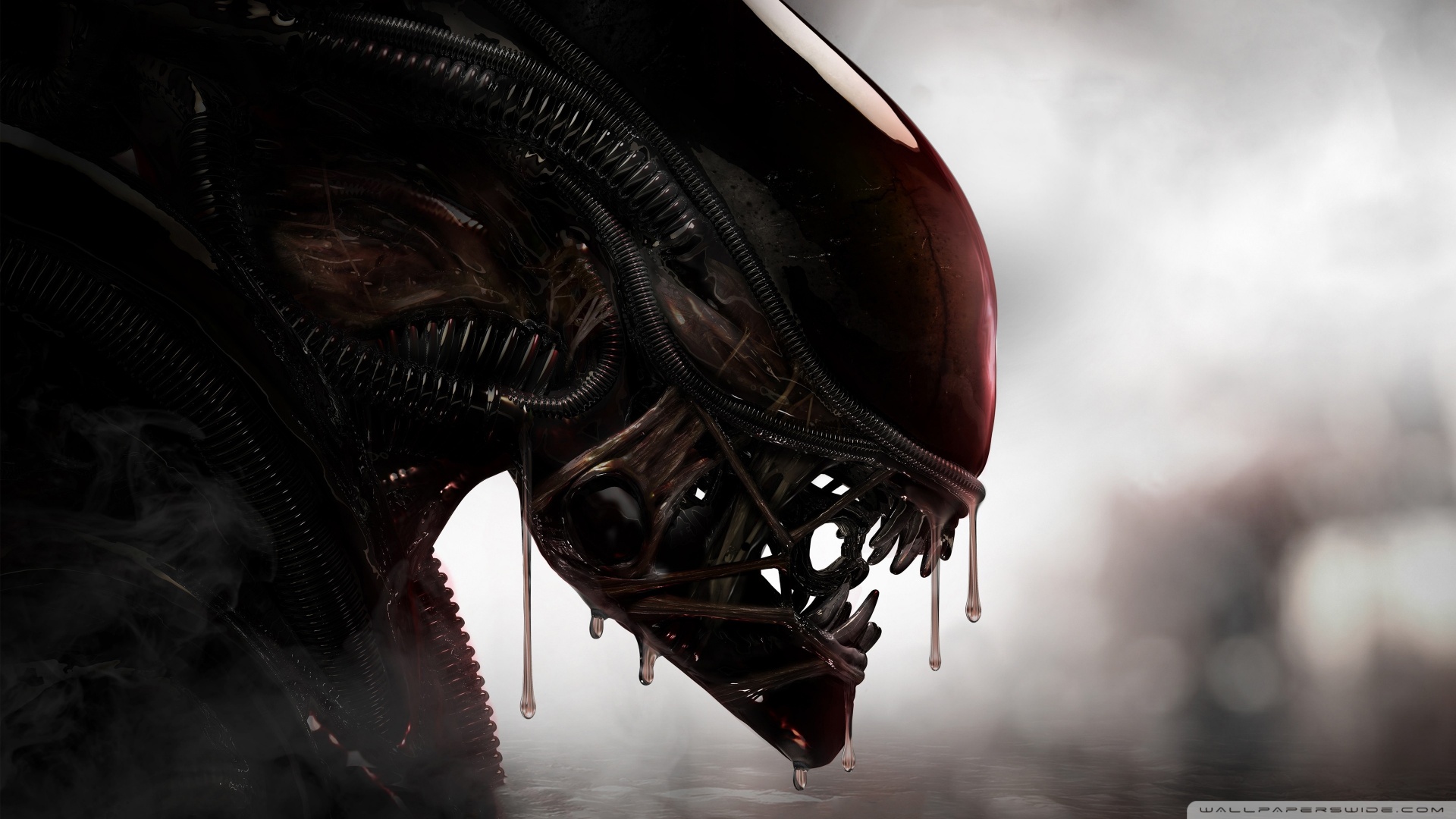 Alien Isolation Wallpapers - Top Free Alien Isolation Backgrounds -  WallpaperAccess