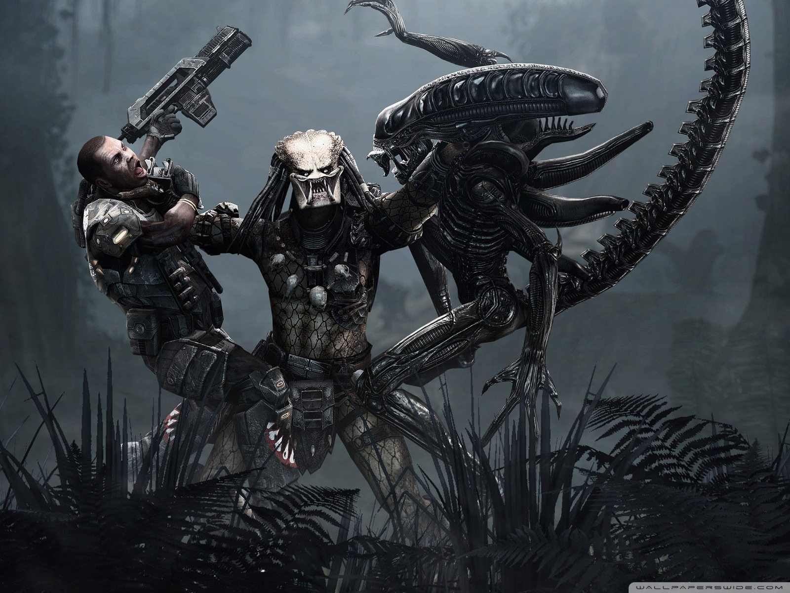 Aliens Vs. Predator 2 wallpaper 06 1600x1200