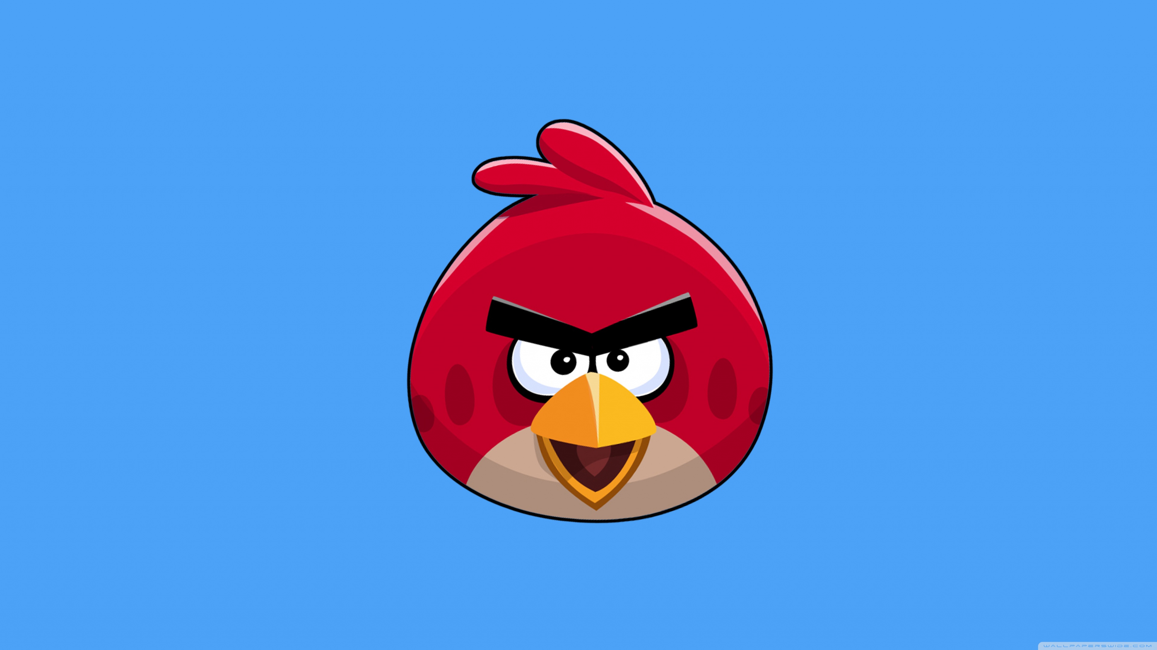 Angry Birds Ultra HD Desktop Background Wallpaper for 4K UHD TV :  Widescreen & UltraWide Desktop & Laptop : Tablet : Smartphone