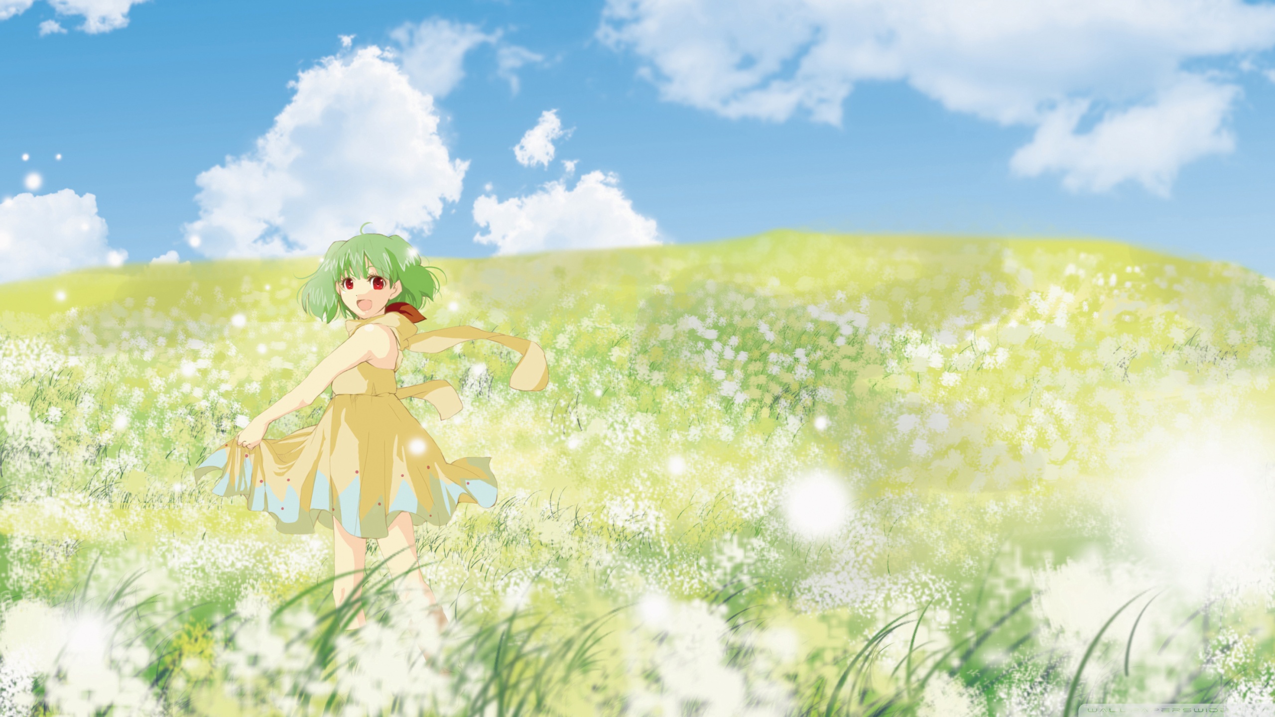 Anime Girl In Flower Field Ultra HD Desktop Background Wallpaper for 4K UHD  TV  Tablet  Smartphone