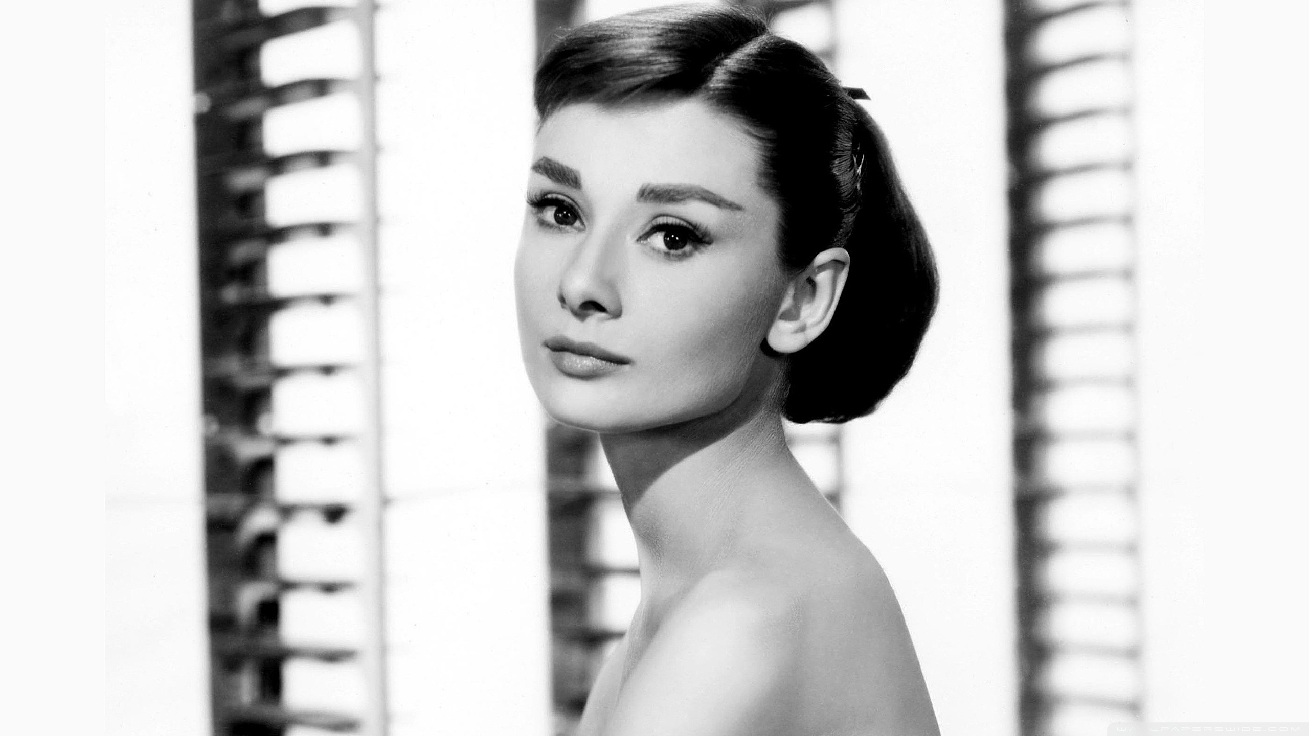 Rare Audrey Hepburn — Announcement! It's taken me quite some time but...