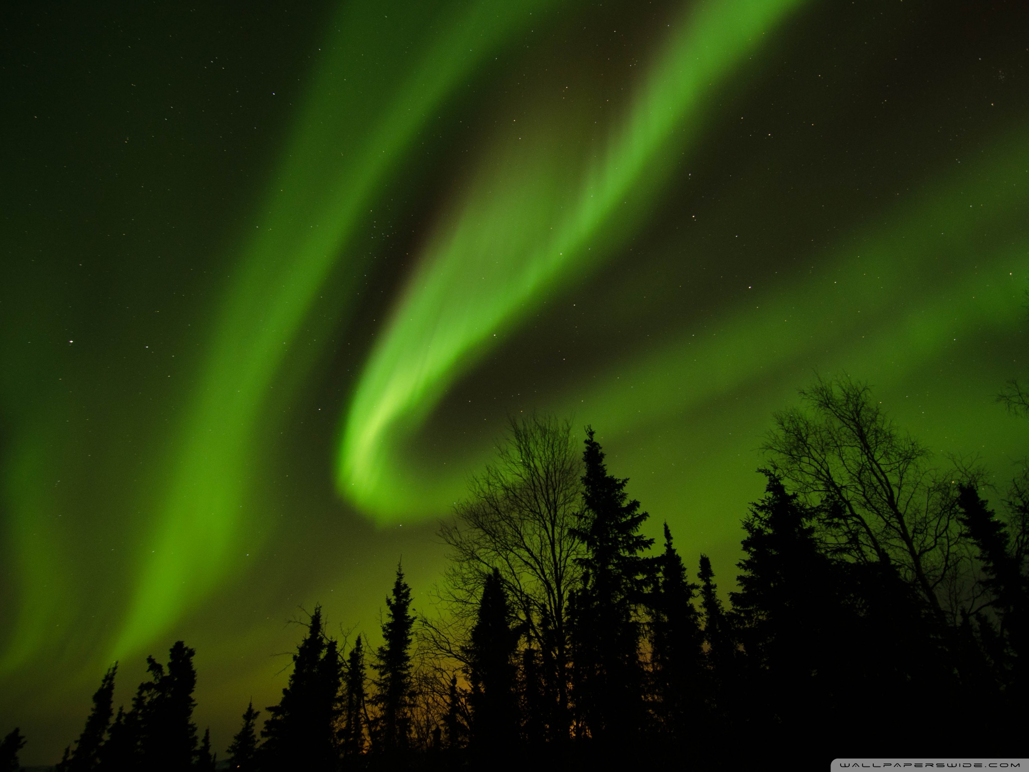 Aurora Borealis Alaska 4K UHD Wallpaper For UltraHD Desktop And TV 