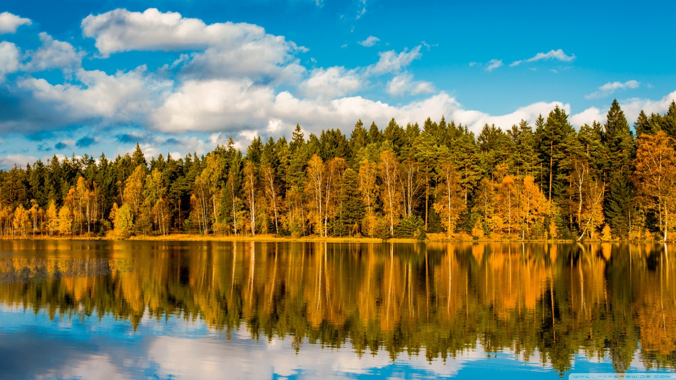 Autumn in the Ore Mountains Ultra HD Desktop Background Wallpaper for ...