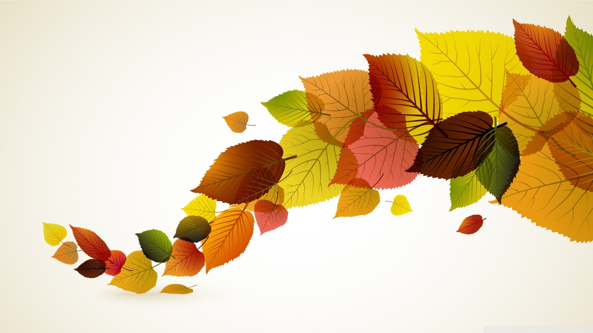 HD wallpaper autumn leaves background colorful rainbow maple wood   Wallpaper Flare