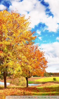 Beautiful Autumn Day Ultra HD Desktop Background Wallpaper for : Multi ...