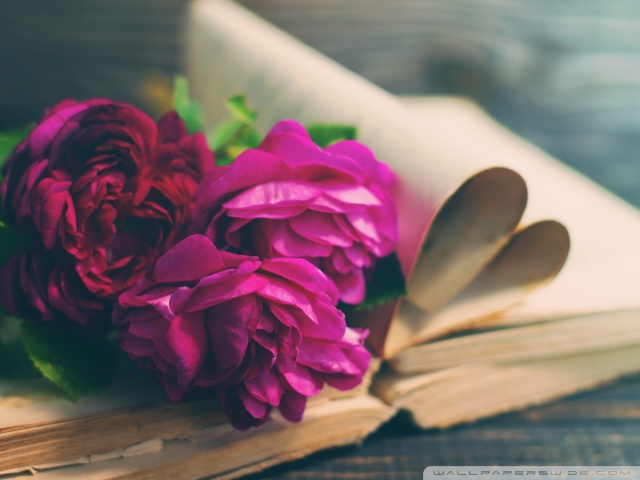 Romantic Pink Flower Wallpapers for a Charming Touch