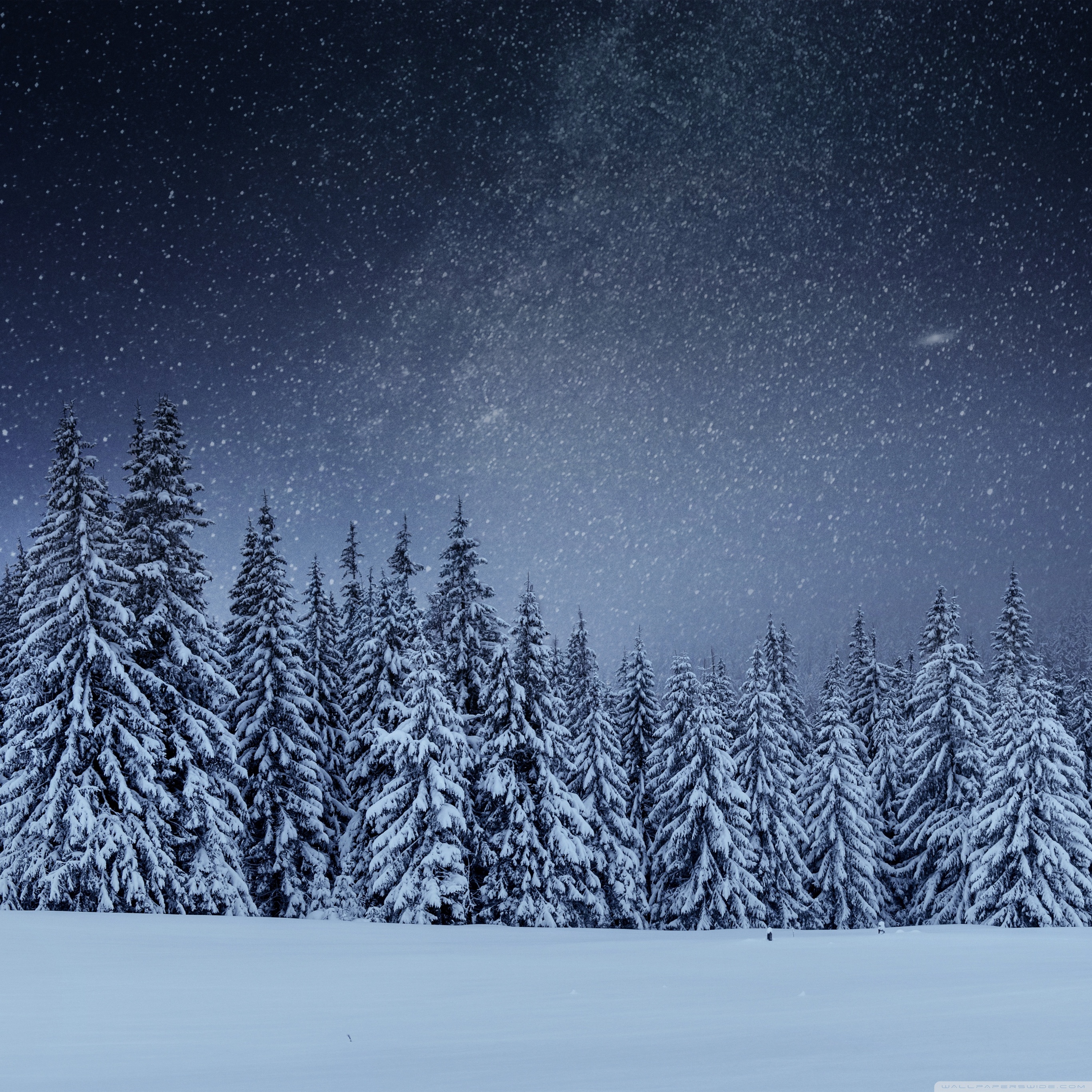 wallpaper winter night