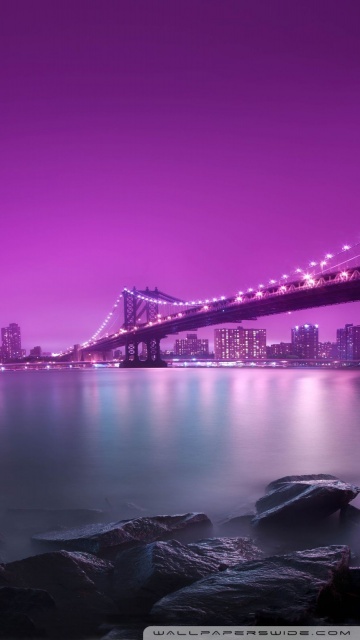Purple City Pictures  Download Free Images on Unsplash