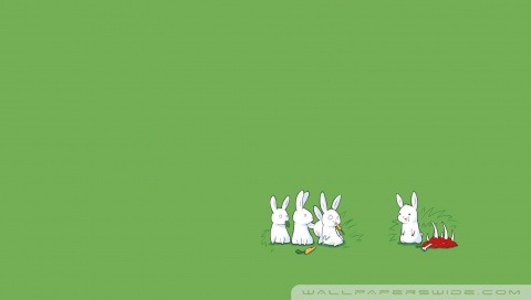 Carnivorous Rabbit Ultra HD Desktop Background Wallpaper for 4K UHD TV ...