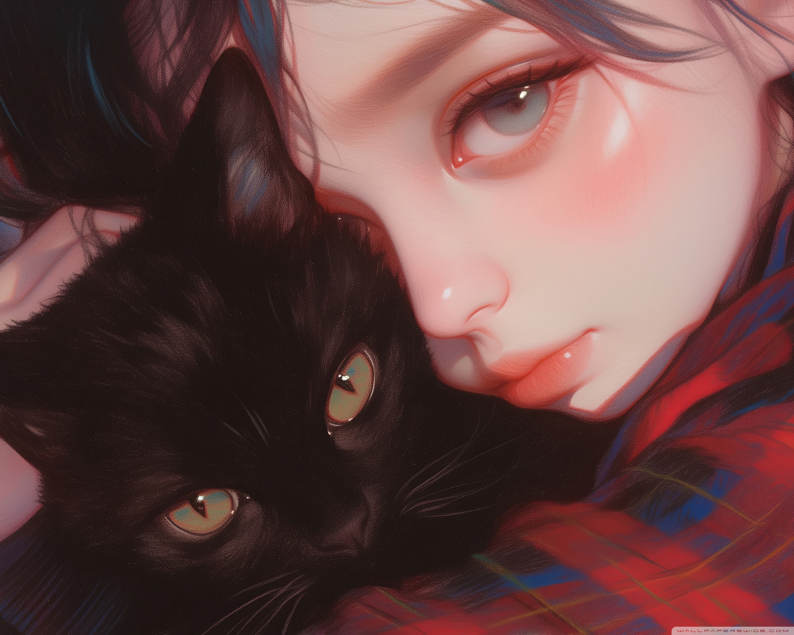 Cat Lover 4K UHD Wallpaper For UltraHD Desktop And TV Widescreen And Cat Lover 4K UHD Wallpaper For UltraHD Desktop And TV Widescreen And