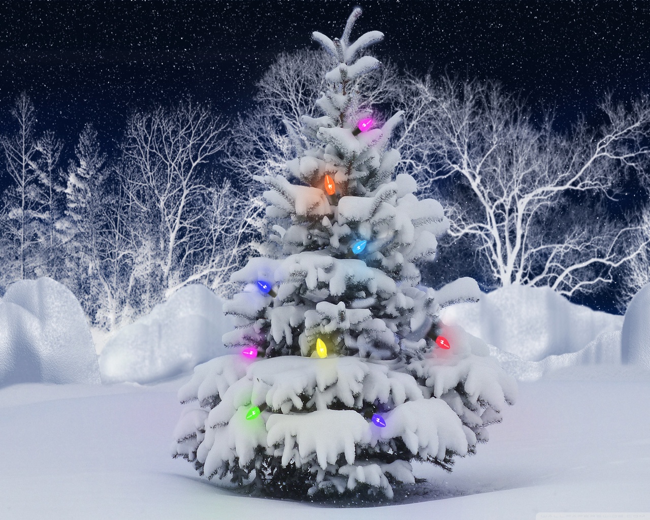 christmas tree Ultra HD Desktop Background Wallpaper for