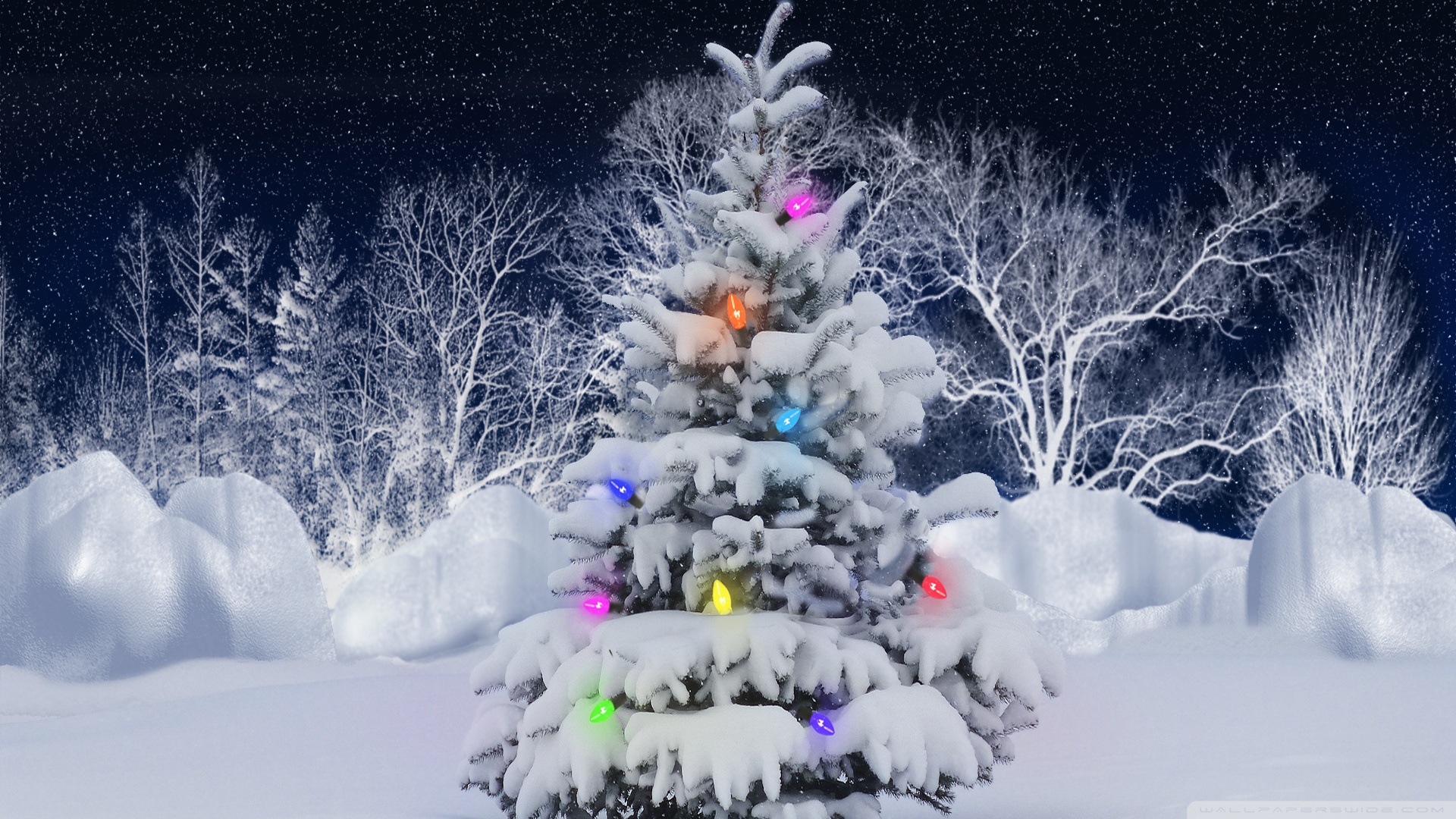 Christmas Tree, Outdoor Ultra HD Desktop Background Wallpaper for 4K ...