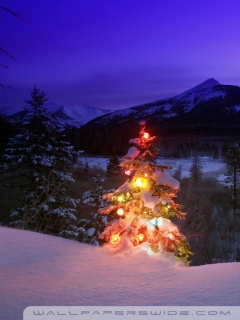Christmas Tree With Lights Outdoors In The Mountains Ultra HD Desktop ...