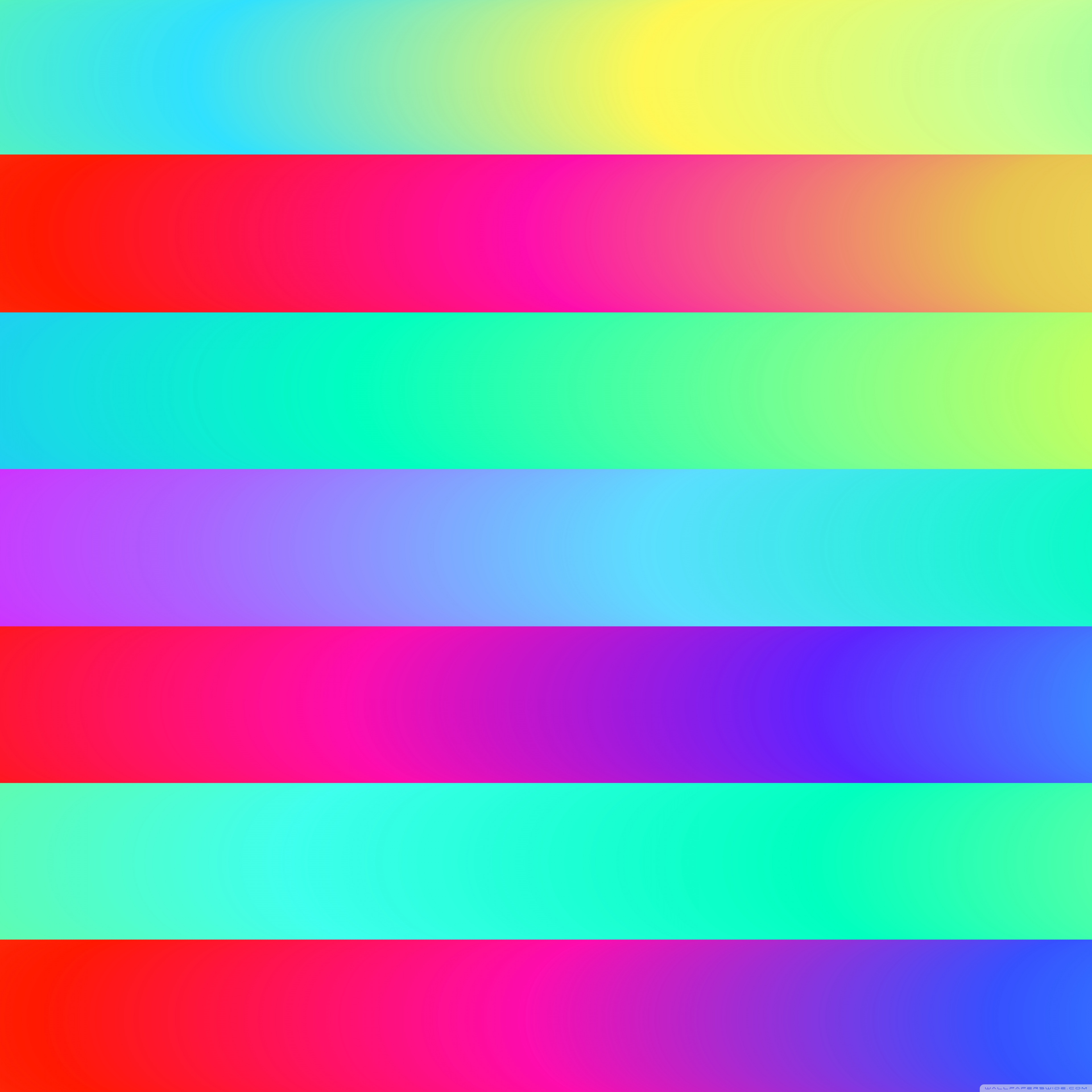 Neon colors gradient blur colorful wallpaper background  plingcom
