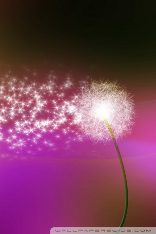 Dandelion Blowing In The Wind Ultra HD Desktop Background Wallpaper for ...