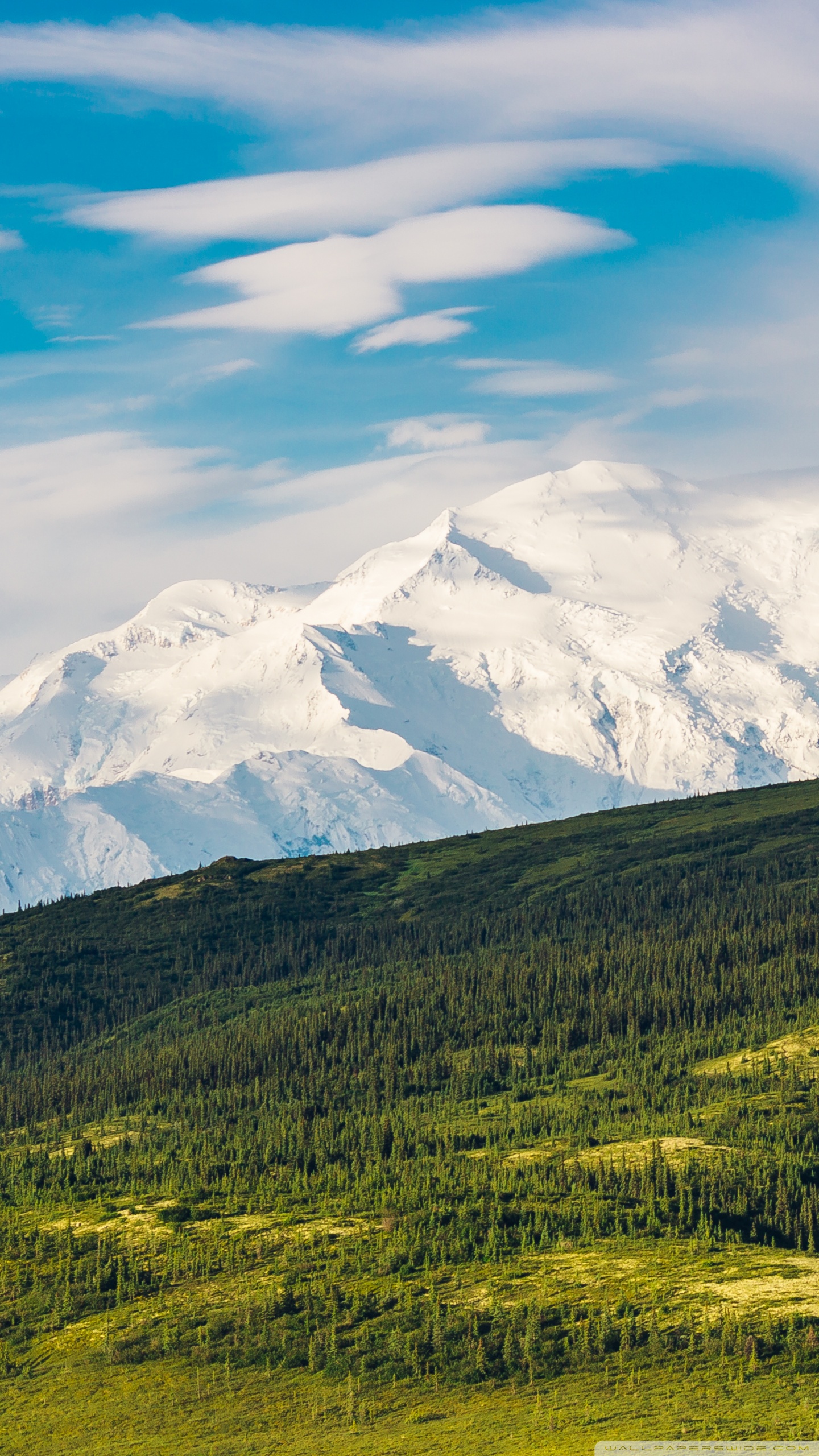 3 HRS Amazing Photography of Denali National Park - Wallpapers Slideshow in  4K UHD - YouTube