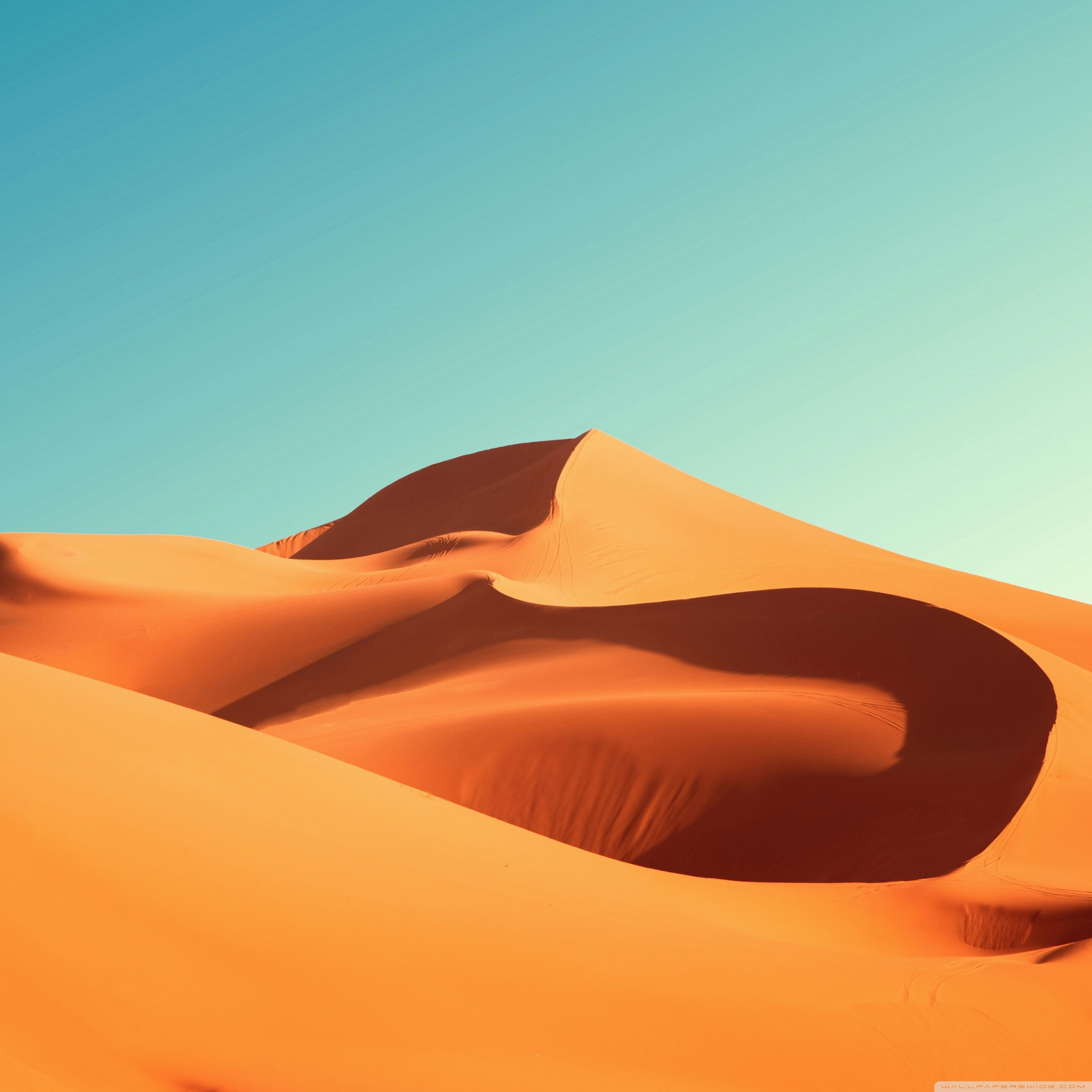 Desert Journey Ultra HD Wallpaper for 4K UHD TV & Desktop : Widescreen ...