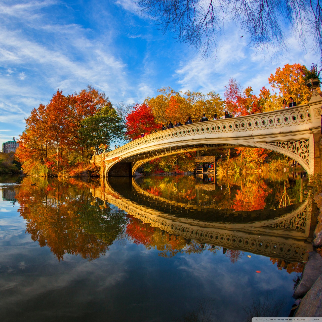 Fall Foliage in Central Park New York City Ultra HD Desktop Background ...