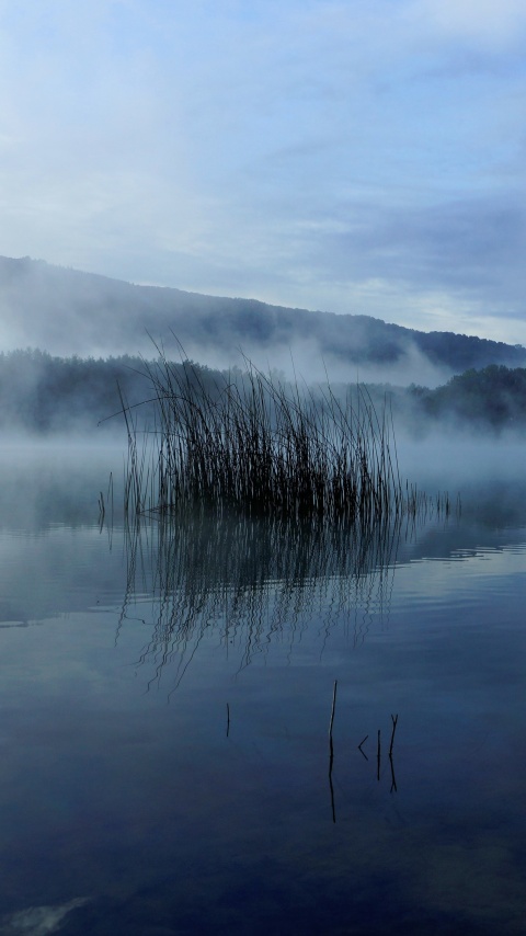 7680x4320 Resolution Foggy Lake 8K 8K Wallpaper - Wallpapers Den