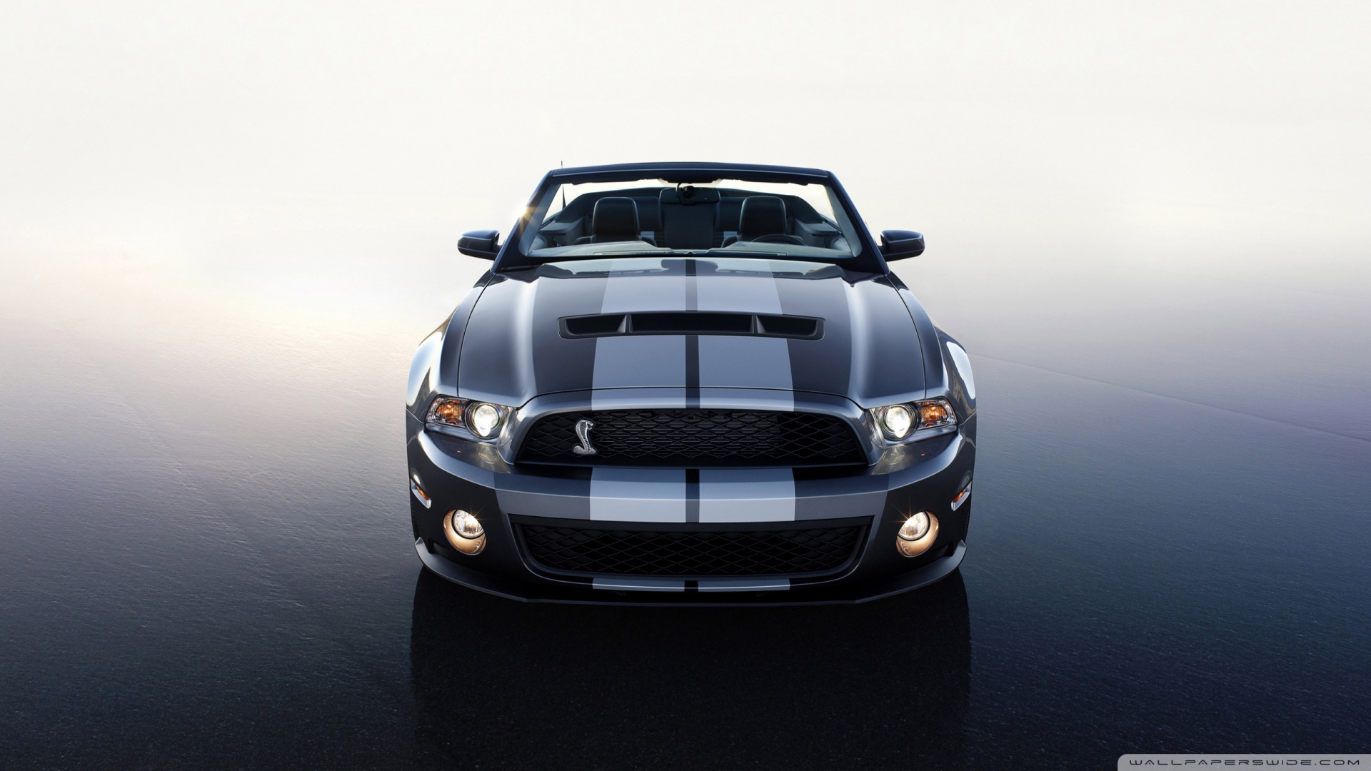 ford mustang shelby gt500 super snake hd