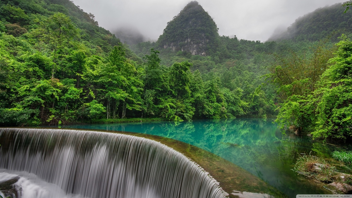 128366 Tropical forest, 4K, Waterfall - Rare Gallery HD Wallpapers