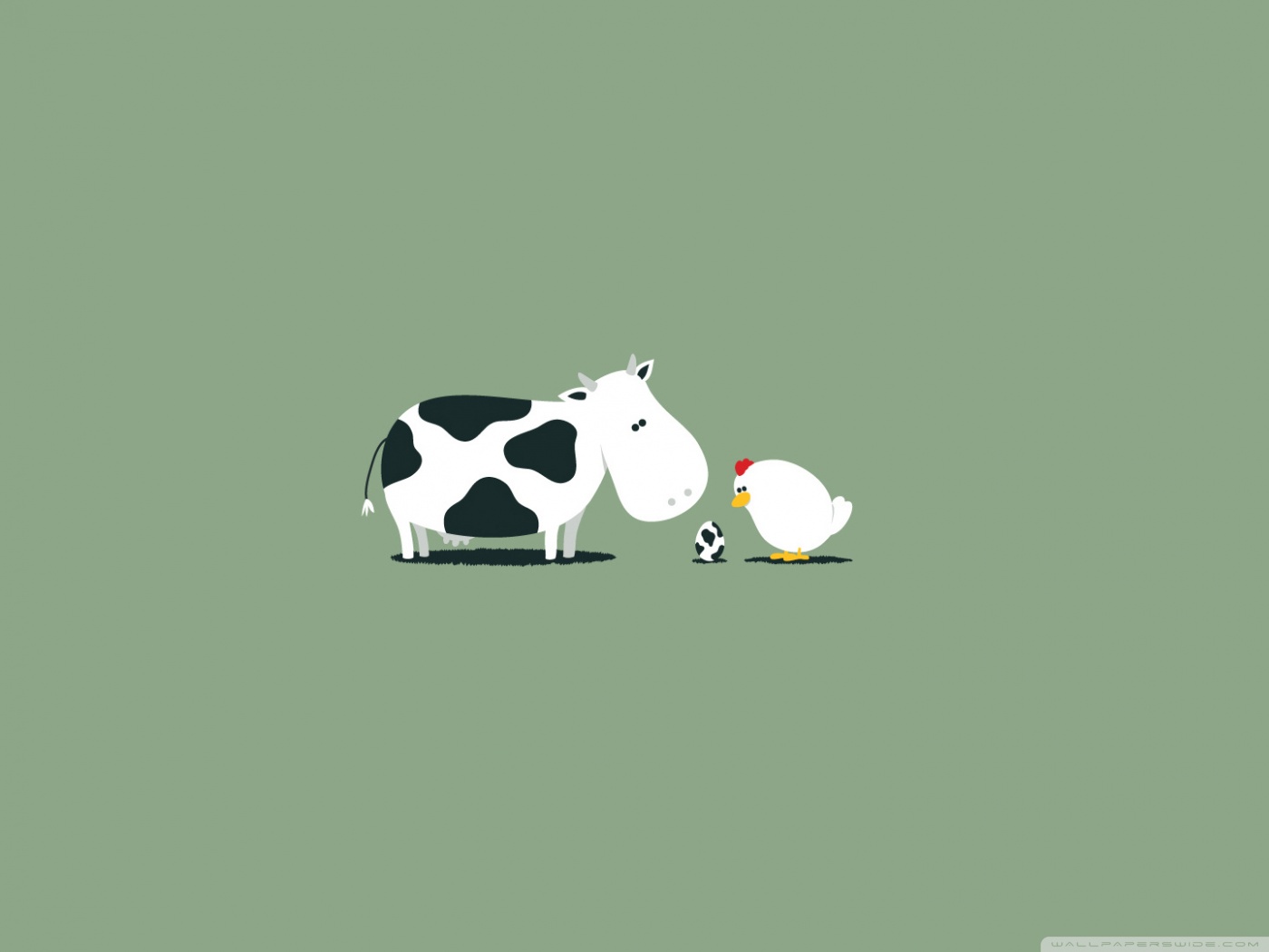 cute cow wallpaper