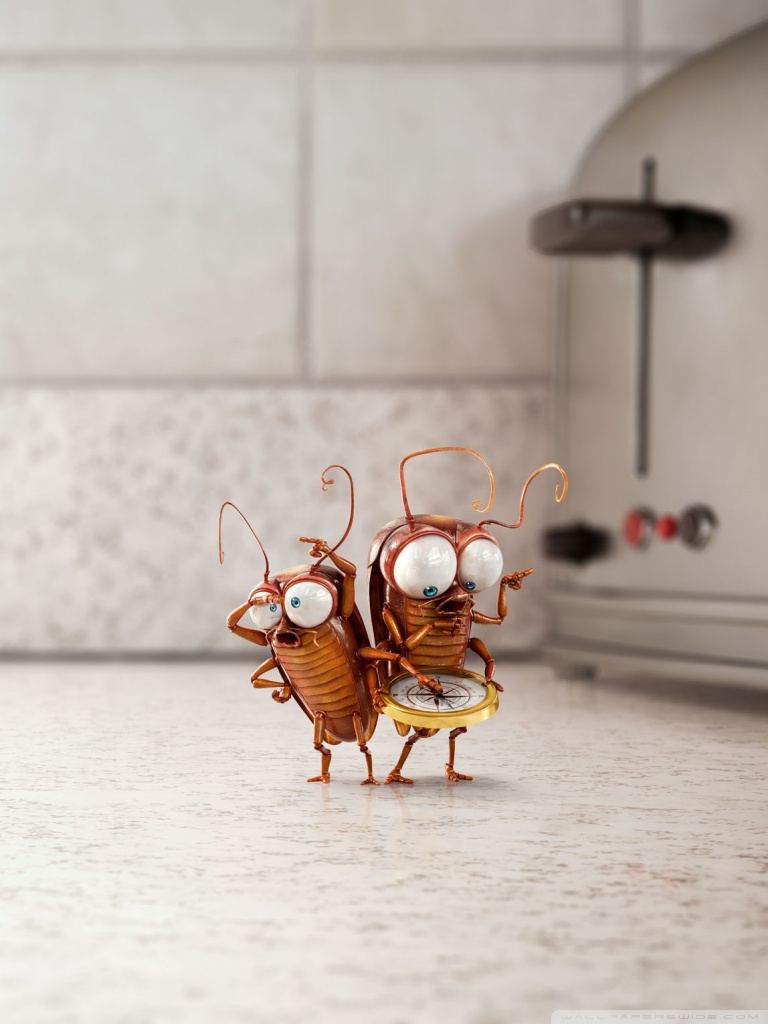 Funny Cute Cockroaches 3D Ultra HD Desktop Background Wallpaper for 4K ...