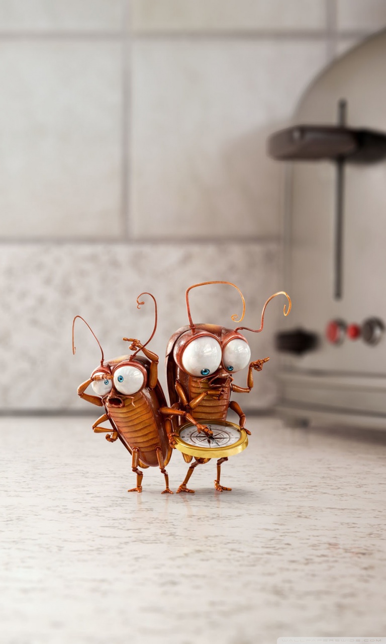 Funny Cute Cockroaches 3D Ultra HD Desktop Background Wallpaper for 4K ...