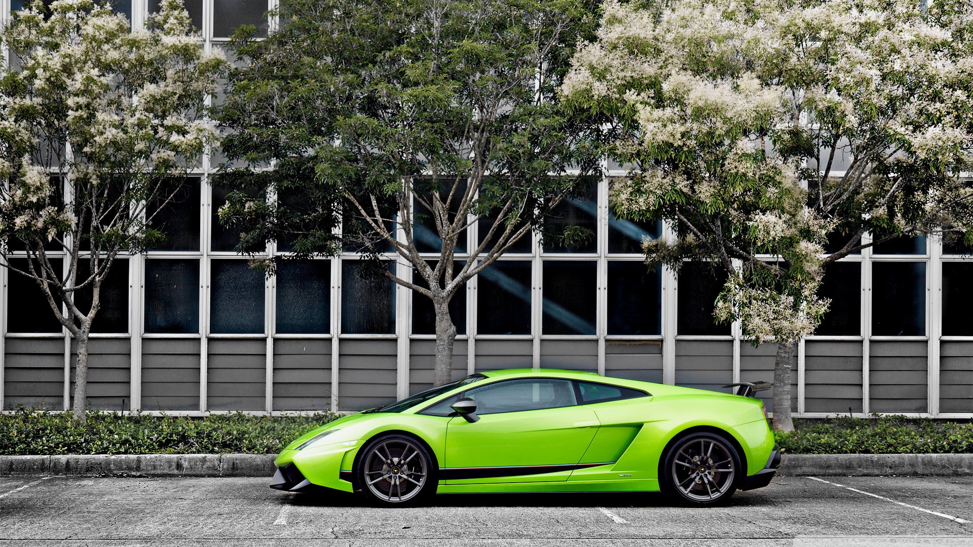 Green Lamborghini Gallardo Superleggera Ultra HD Desktop Background  Wallpaper for 4K UHD TV : Widescreen & UltraWide Desktop & Laptop : Tablet  : Smartphone