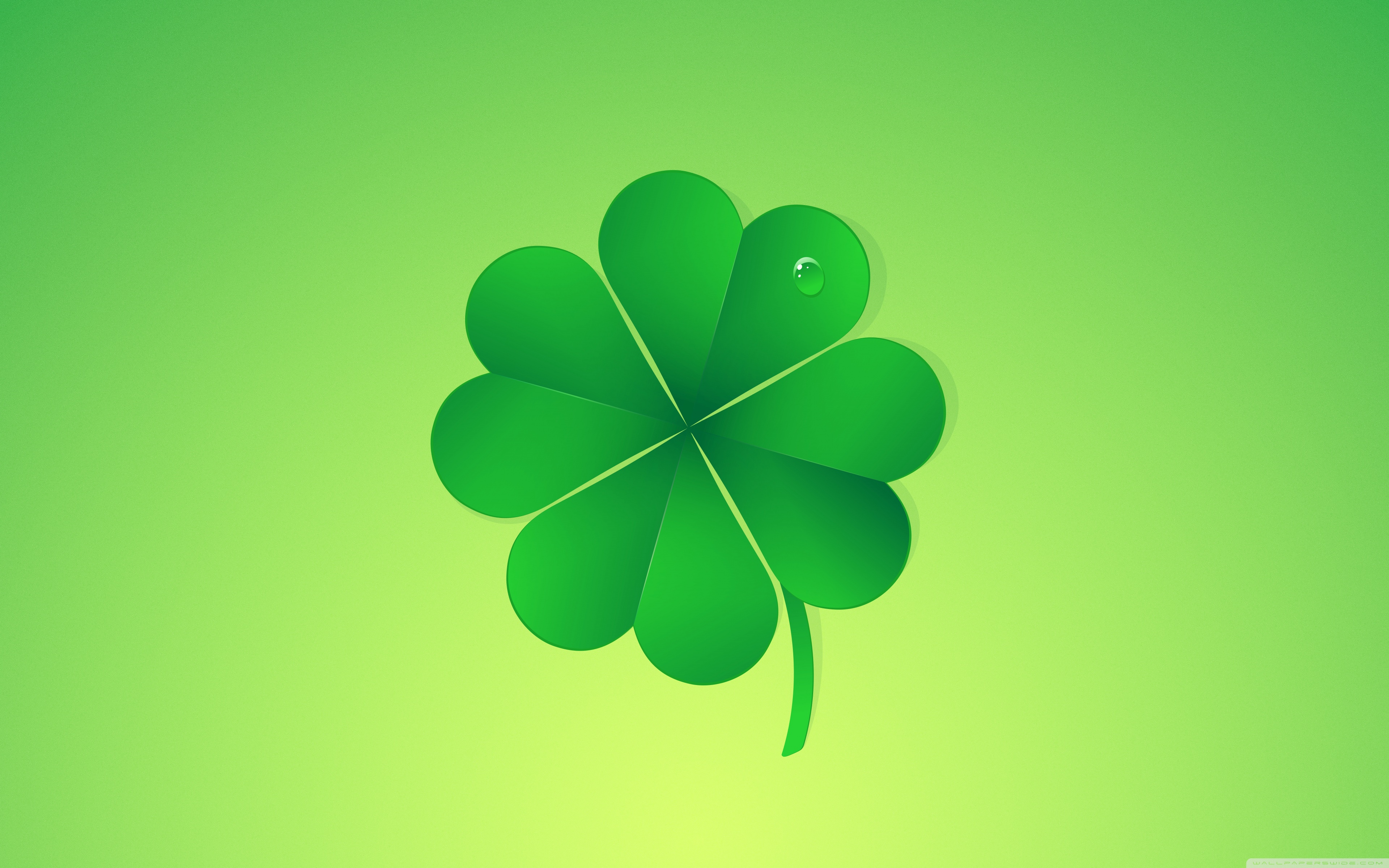 HD wallpaper klee four leaf clover green lucky charm pointed flower   Wallpaper Flare