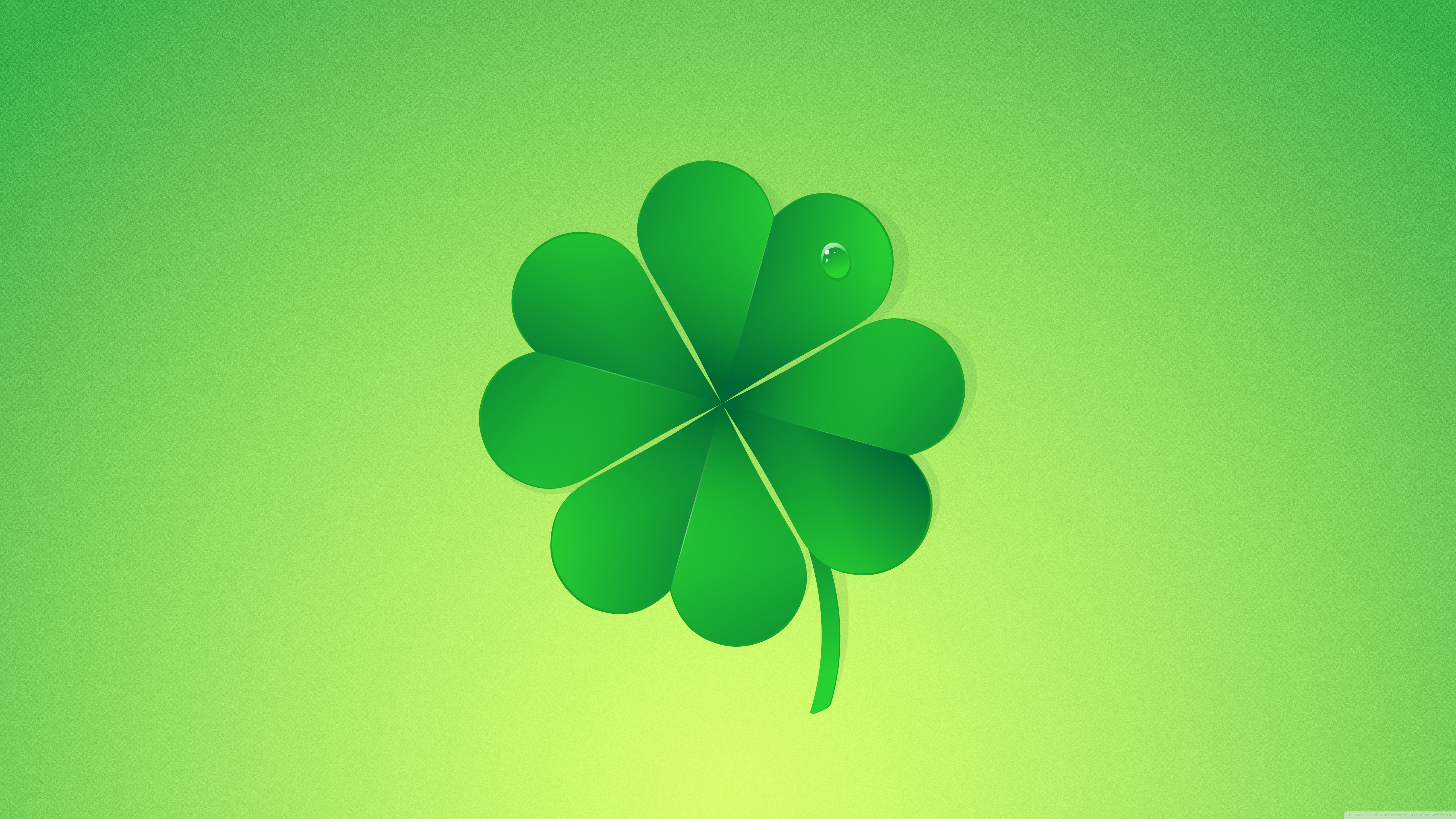 celebration, celtic, clover, day, floral, fortune, green, icon, ireland,  irish, isolated, leaf, luck, lucky, nature, patrick, plant, saint, season,  shamrocks, spring, symbol, tradition, traditional 4k wallpaper -  Coolwallpapers.me!