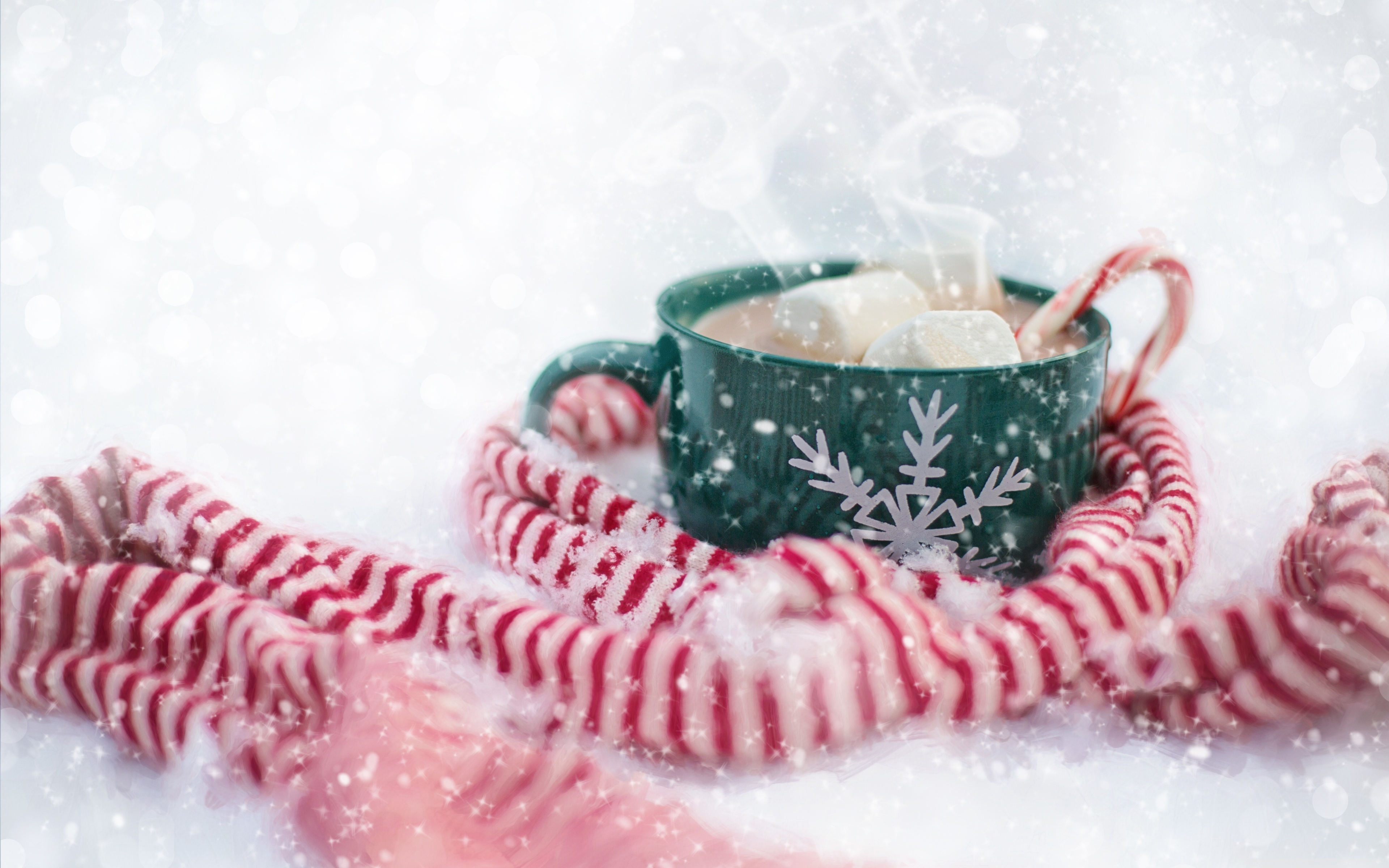Hot Chocolate Drink Christmas  Free photo on Pixabay  Pixabay