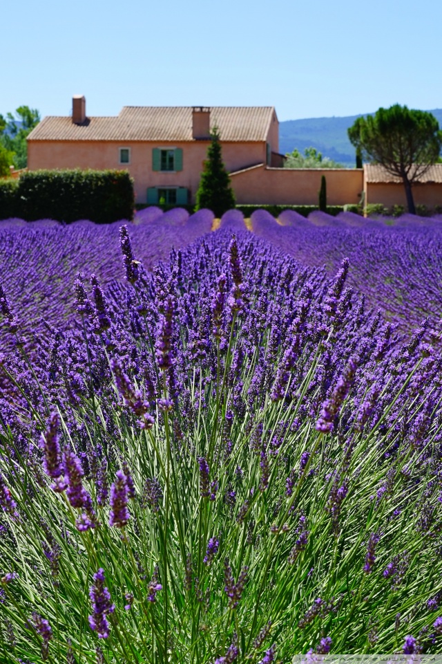 Provence France Wallpapers - Top Free Provence France Backgrounds -  WallpaperAccess