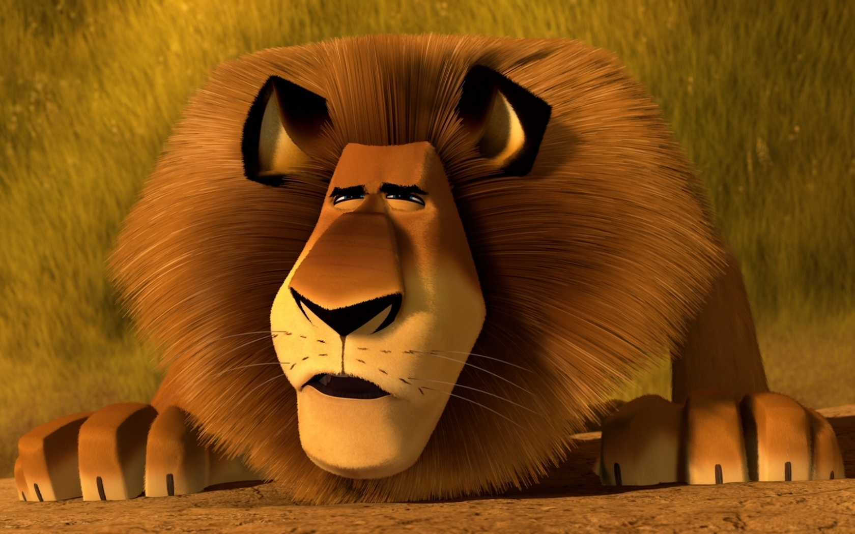 Madagascar Alex Wallpaper Madagascar Alex Wallpaper