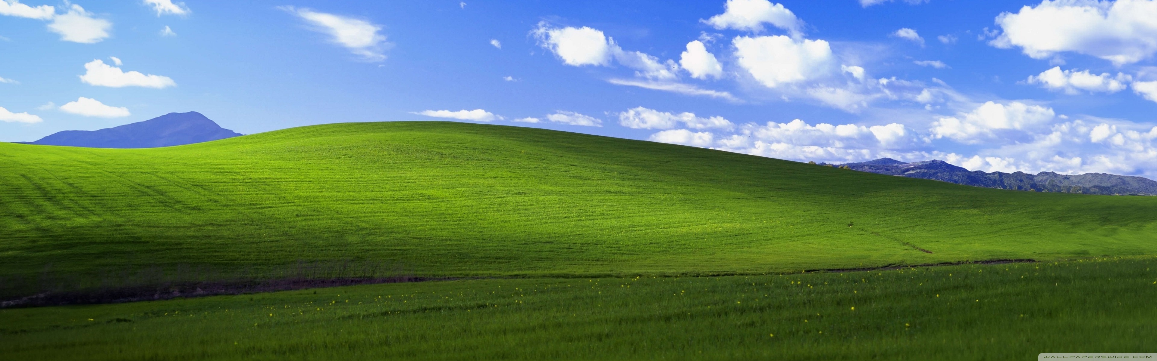 Stunning 4K Bliss Wallpapers For Your Screens