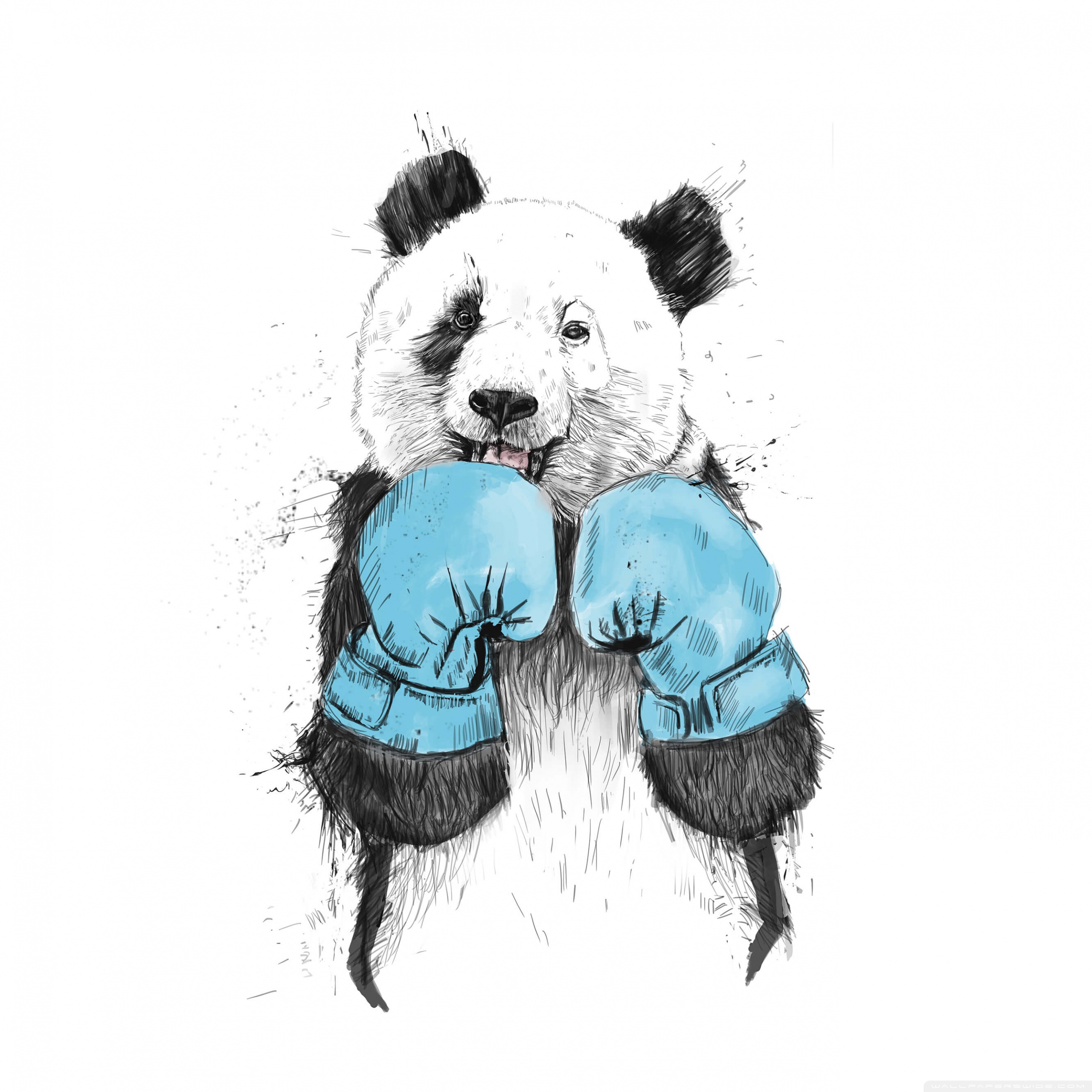 Panda Desenho – urbanarts