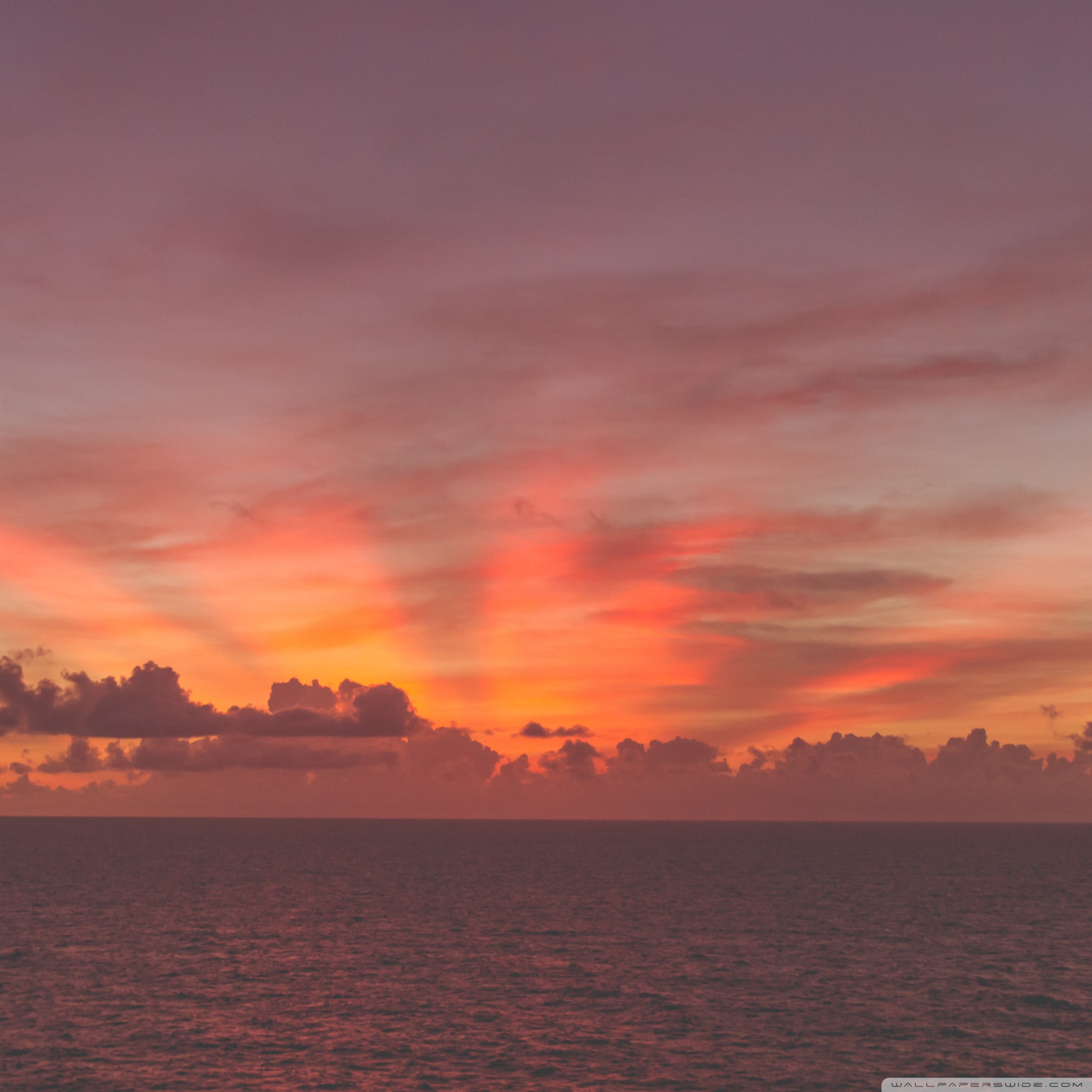 Ocean Landscape Ultra HD Desktop Background Wallpaper for : Multi ...