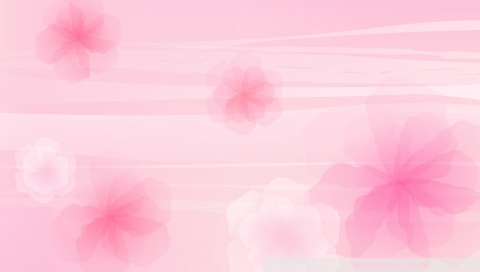 Pink Flowers Background Ultra HD Desktop Background Wallpaper for 4K UHD TV  : Tablet : Smartphone