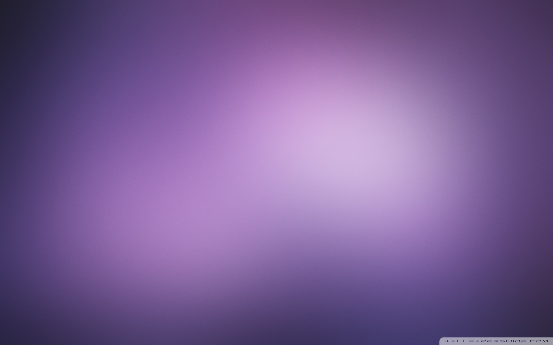 Purple Blurry Background Ultra HD Desktop Background Wallpaper for 4K UHD  TV : Tablet : Smartphone