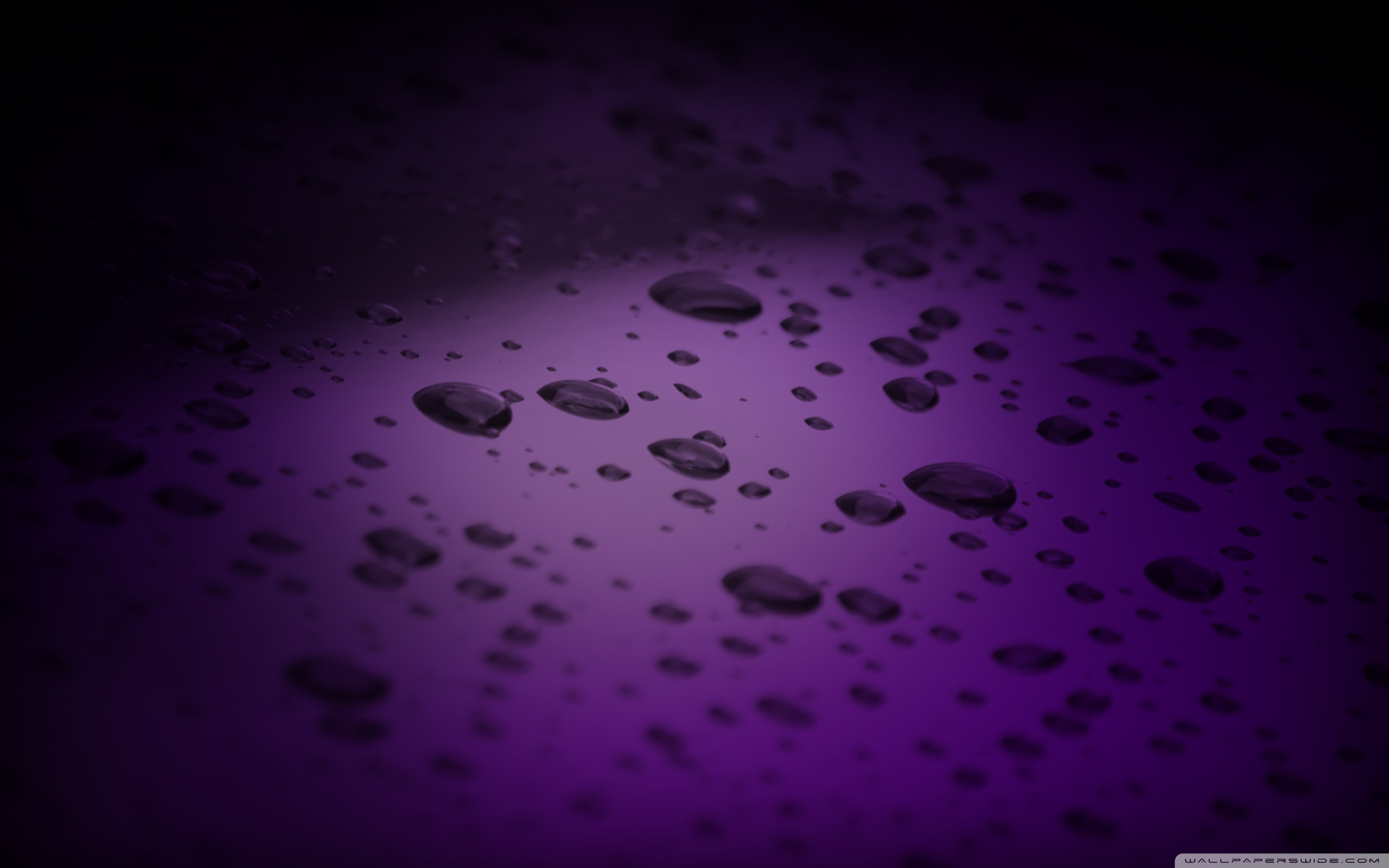 Purple Drops Ultra HD Desktop Background Wallpaper for 4K UHD TV : Multi  Display, Dual Monitor : Tablet : Smartphone