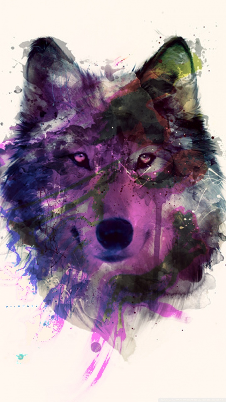 Download Purple Galaxy Wolf Digital Painting Wallpaper  Wallpaperscom