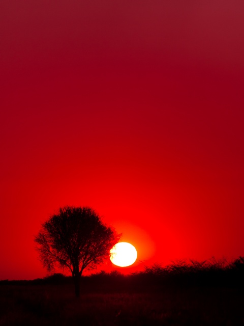 Sleeping Under the Stars on a Mobile Safari Through Botswana | Condé Nast  Traveler