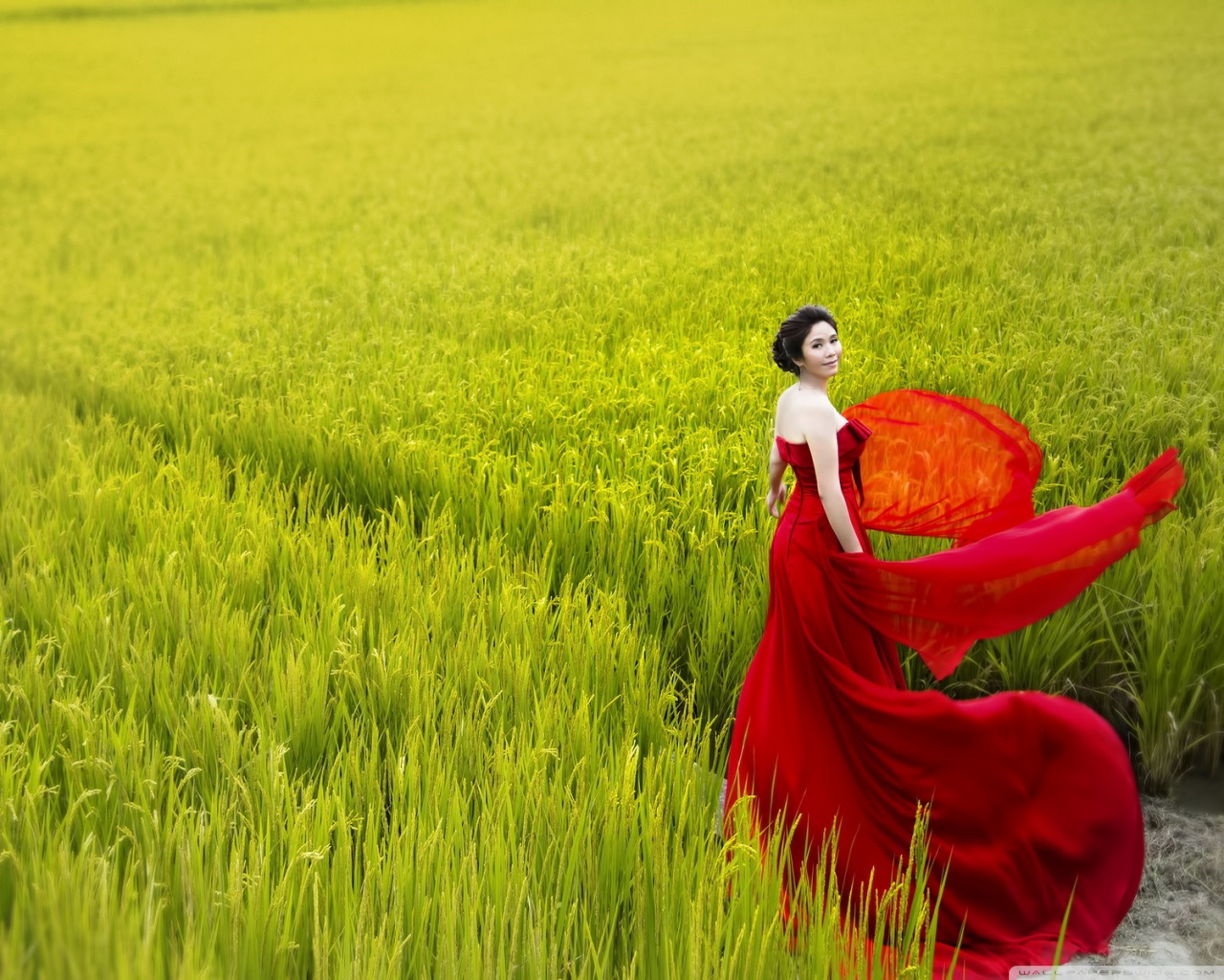 Romantic Lady In Red Ultra HD Desktop Background Wallpaper for 4K UHD ...