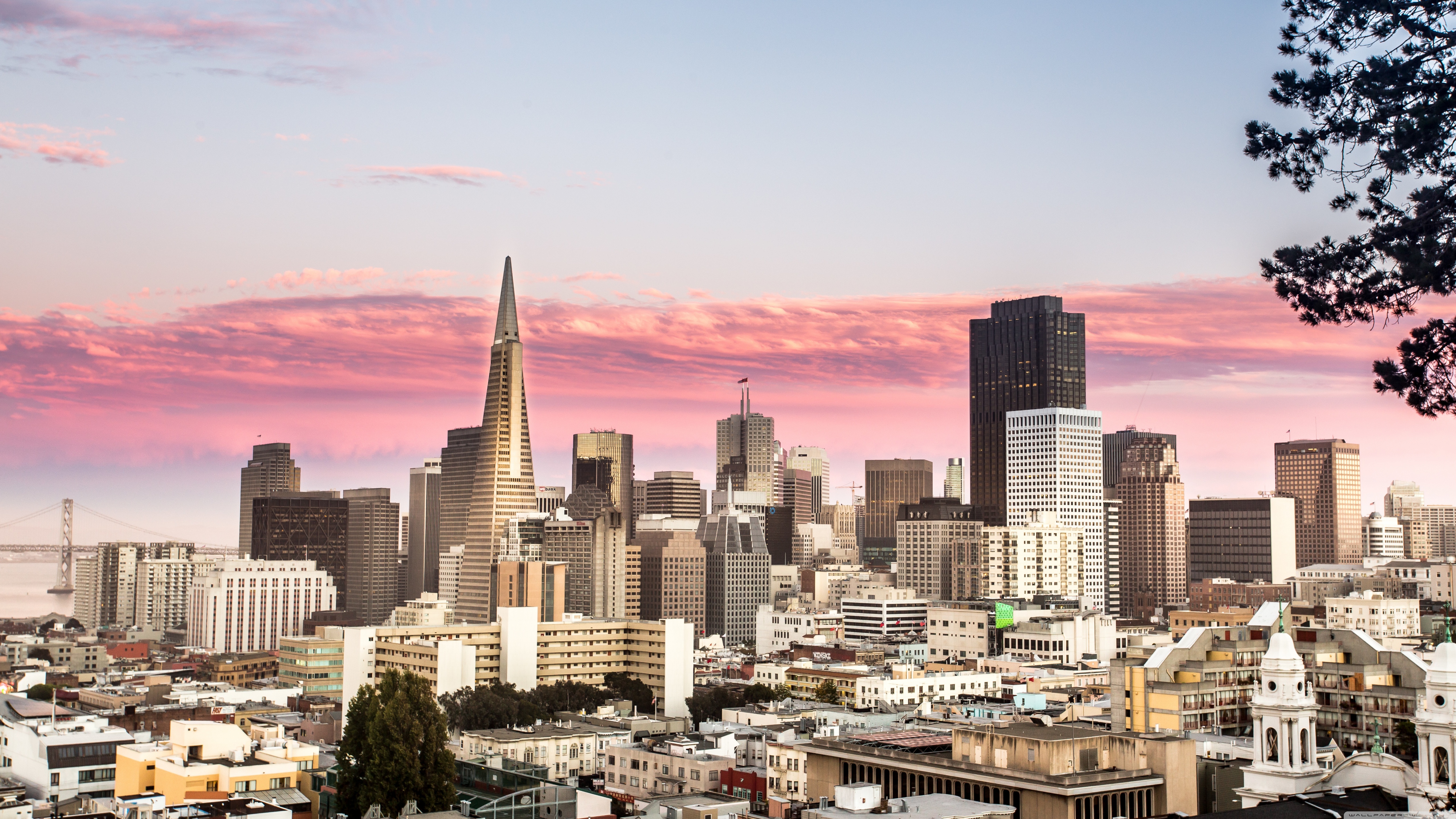 Download San Francisco 4K Golden Gate Bridge Panorama Wallpaper  Wallpapers com