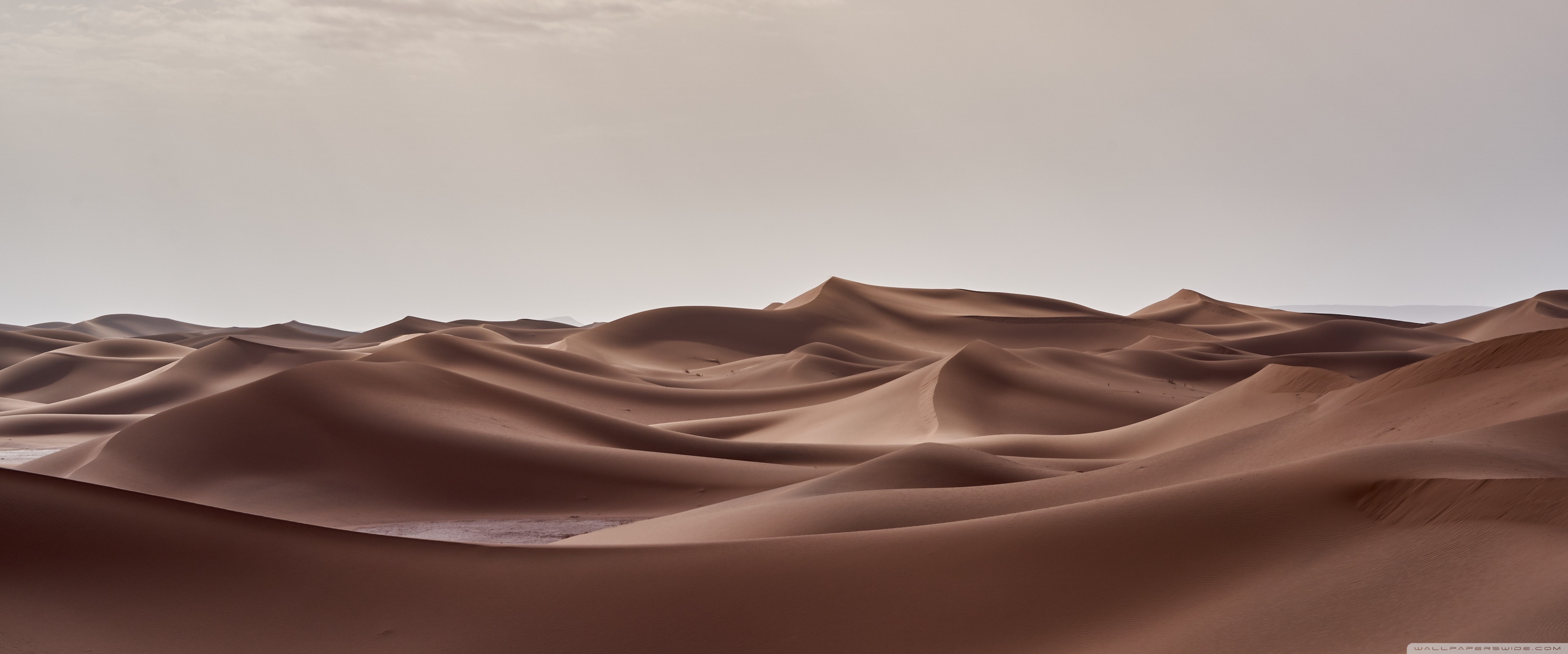 macos - Get the Mojave dynamic wallpaper back after upgrading to Big Sur -  Ask Different