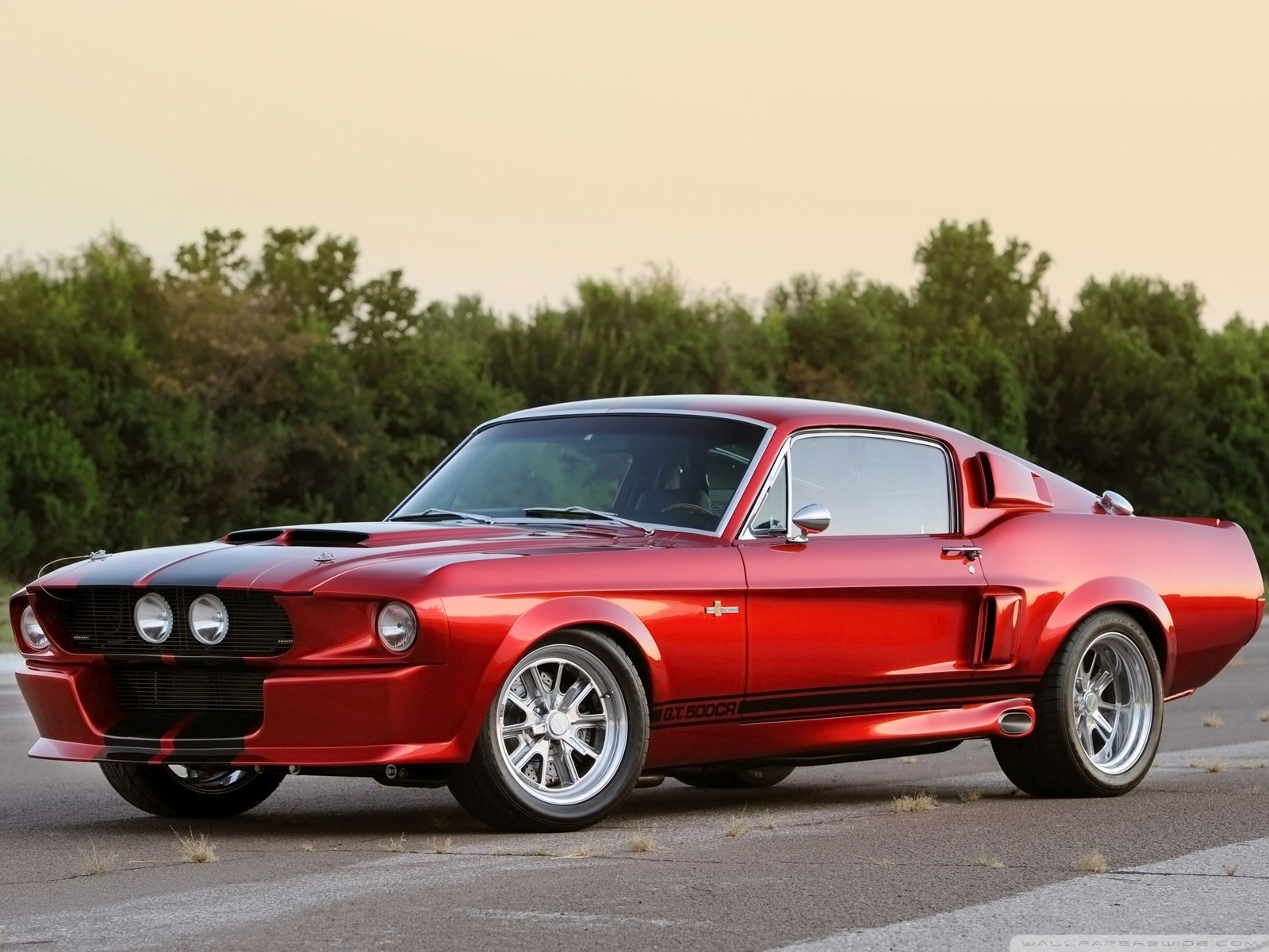 Shelby Mustang GT500CR 1967 Ultra HD Desktop Background Wallpaper for ...