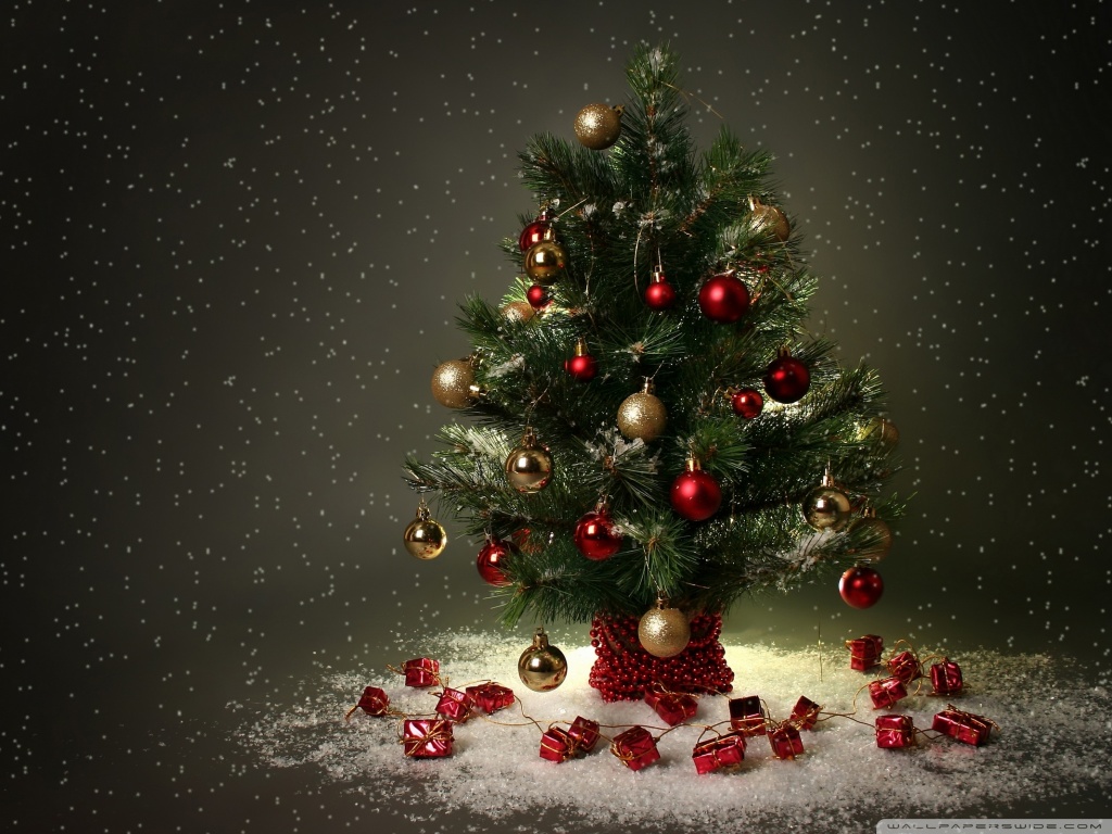 Small Christmas Tree Ultra HD Desktop Background Wallpaper for 4K UHD ...