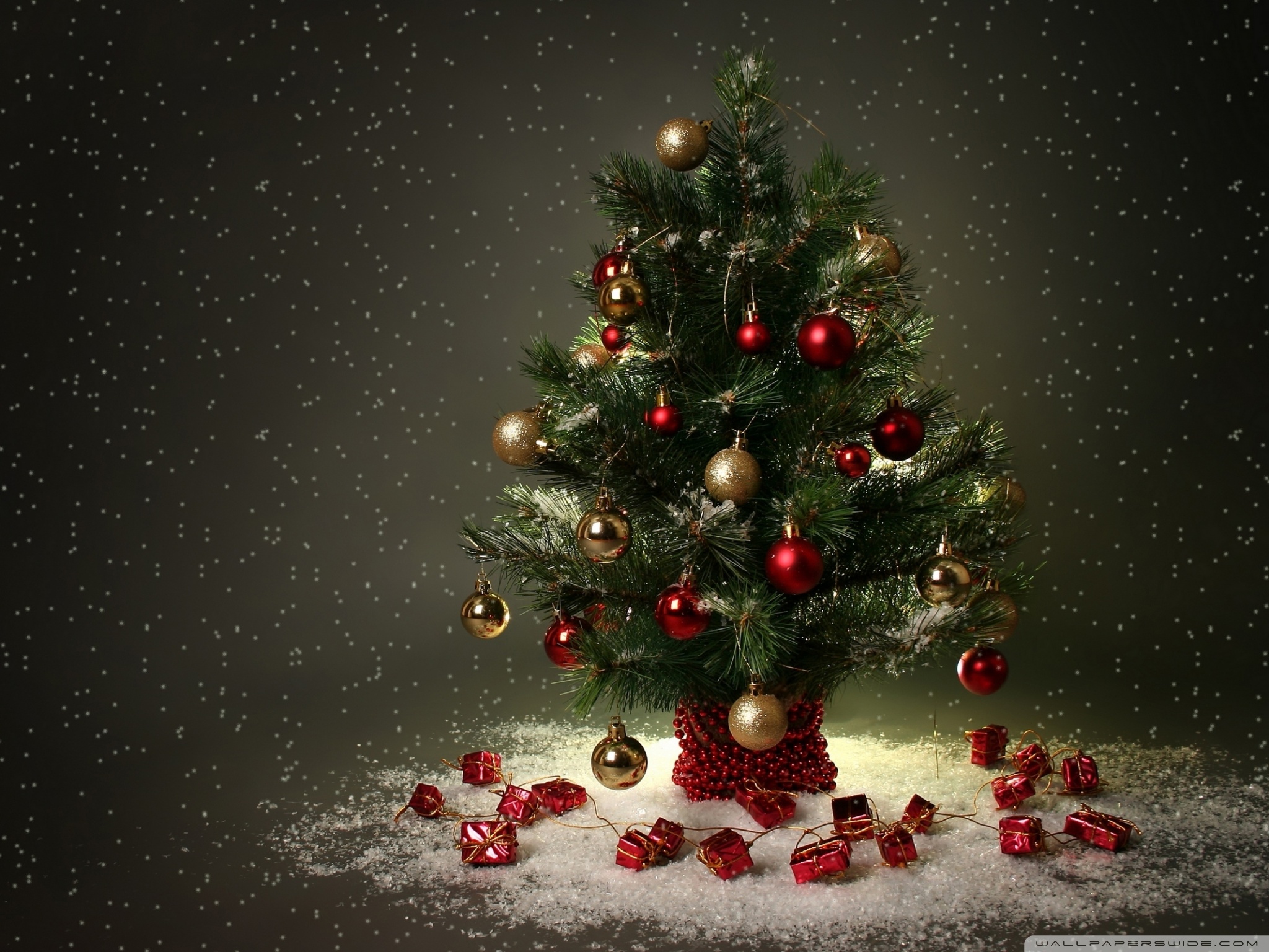 Christmas Trees Backgrounds